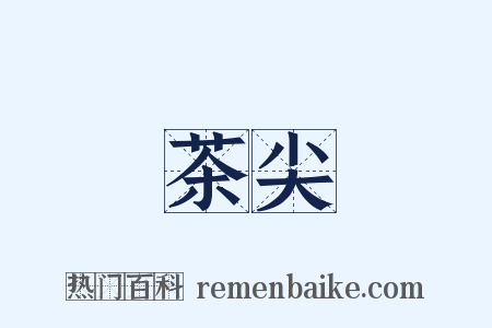 茶尖是什么意思的图片